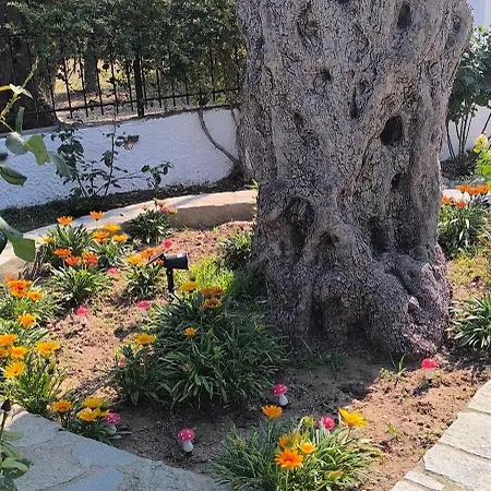 Apartament Ioannis *